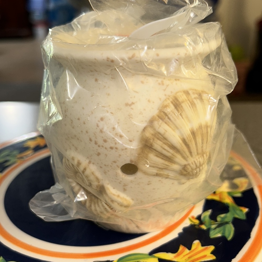NWT Scentsy Seashells Wall Plug In Fragrance Wax Warmer Night Light w/ Bulb - Picture 4 of 7